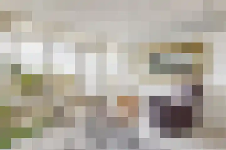 Vijf Meilaan 56 Leiden thumbnail 10