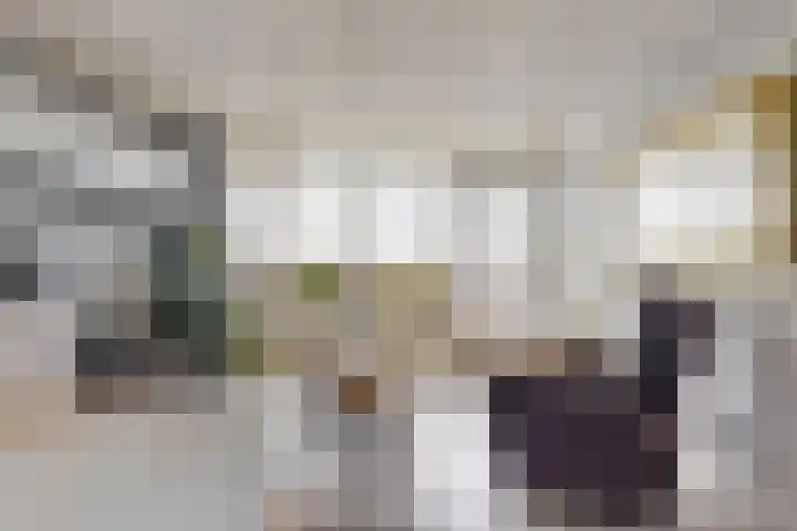Vijf Meilaan 56 Leiden thumbnail 11