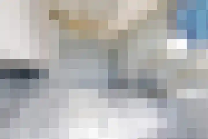 Vijf Meilaan 56 Leiden thumbnail 16