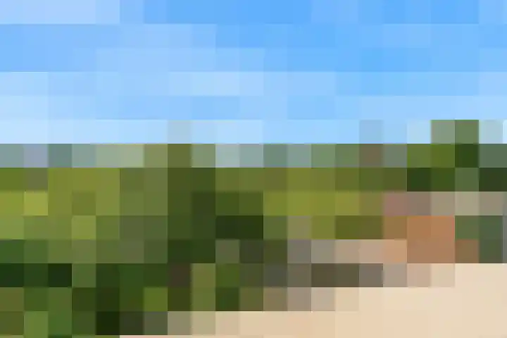 Vijf Meilaan 56 Leiden thumbnail 19