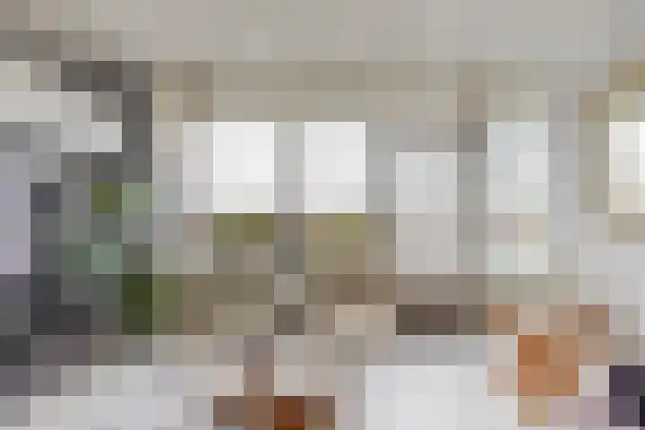 Vijf Meilaan 56 Leiden thumbnail 4