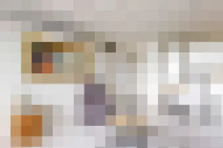 Vijf Meilaan 56 Leiden thumbnail 7
