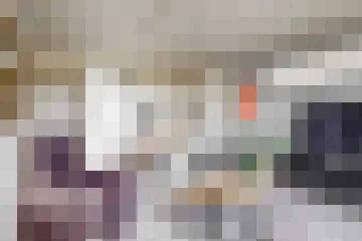 Vijf Meilaan 56 Leiden thumbnail 8