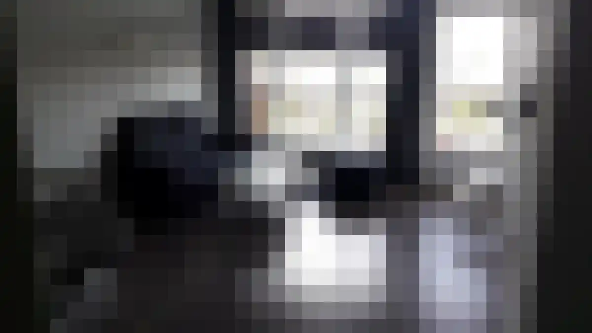 Vijf Meilaan 60 Leiden thumbnail 4