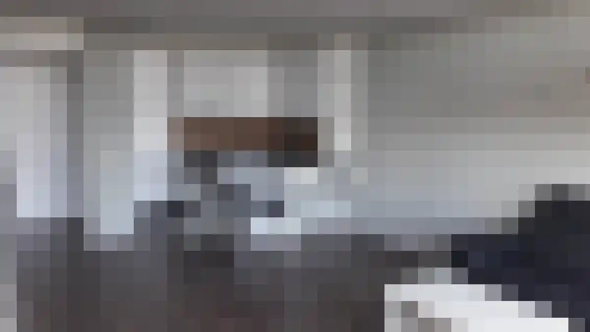 Vijf Meilaan 60 Leiden thumbnail 5