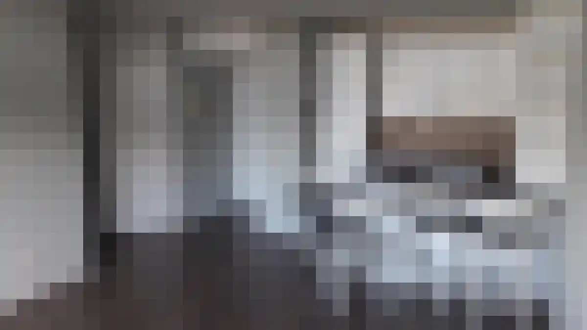 Vijf Meilaan 60 Leiden thumbnail 6