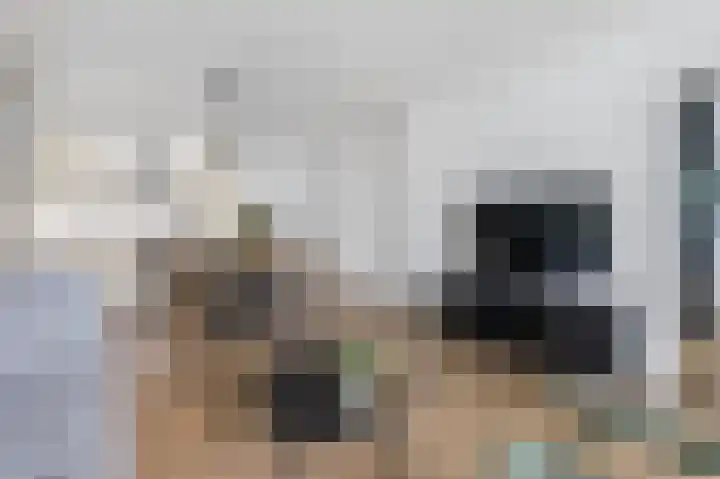 Vijf Meilaan 72 Leiden thumbnail 11