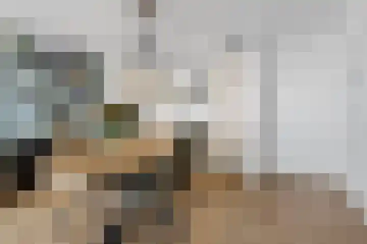 Vijf Meilaan 72 Leiden thumbnail 16