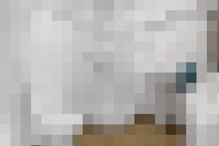 Vijf Meilaan 72 Leiden thumbnail 20