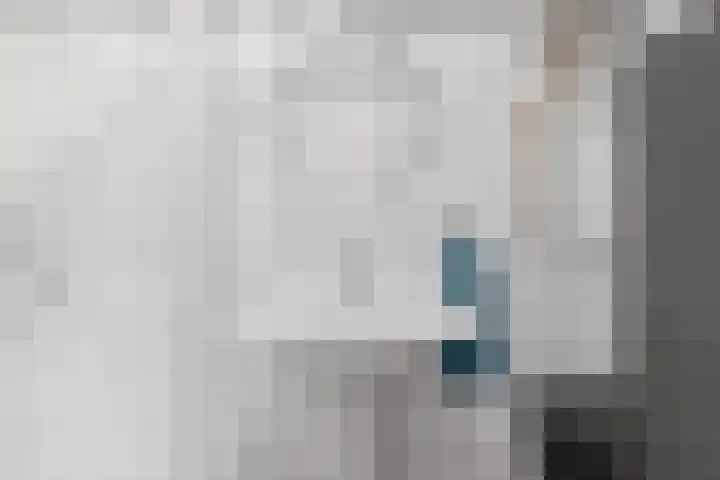 Vijf Meilaan 72 Leiden thumbnail 21