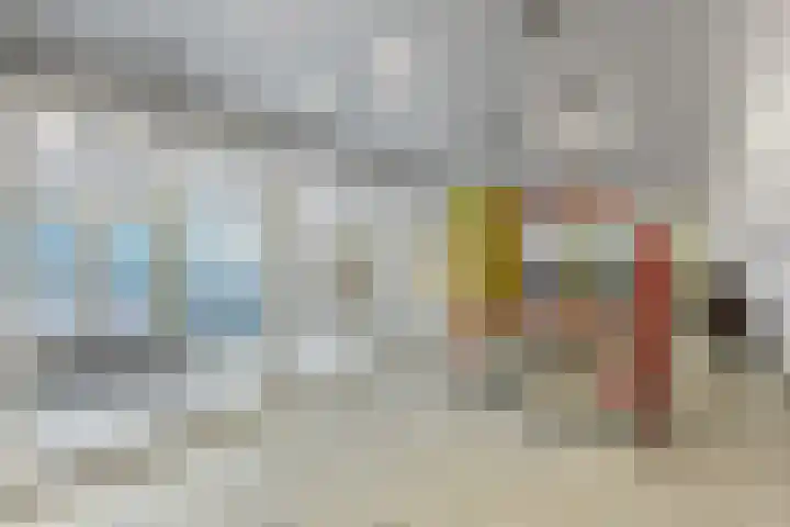 Vijf Meilaan 72 Leiden thumbnail 4