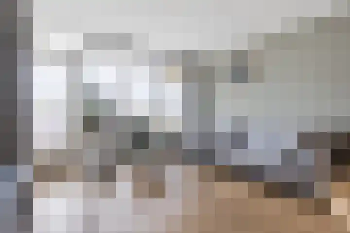 Vijf Meilaan 72 Leiden thumbnail 6