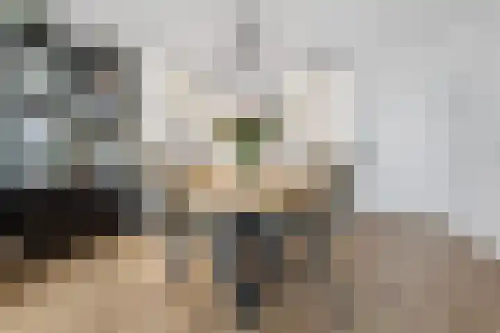 Vijf Meilaan 72 Leiden thumbnail 9