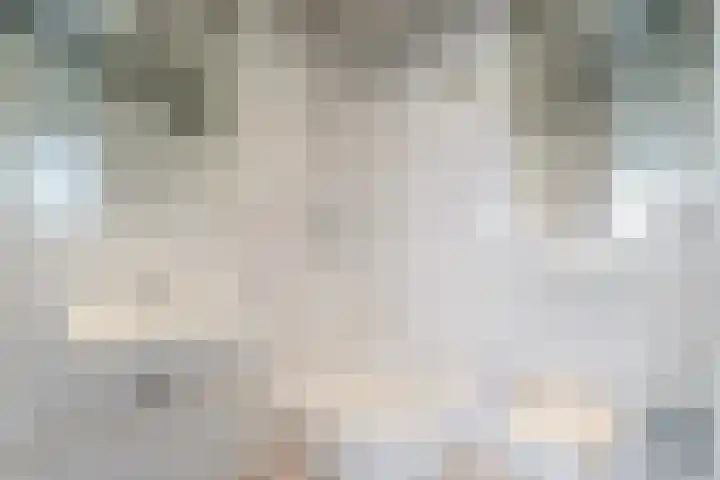 Vijf Meilaan 78 Leiden thumbnail 8