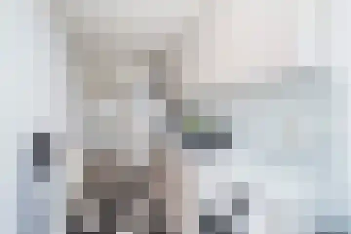 Vijf Meiplein 104 Leiden thumbnail 21