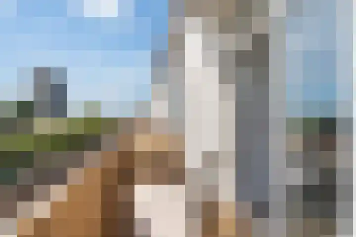 Vijf Meiplein 104 Leiden thumbnail 25