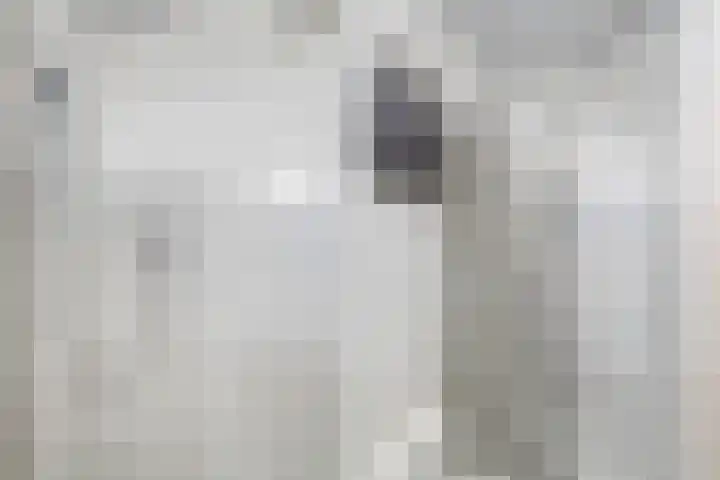Vijf Meiplein 104 Leiden thumbnail 33