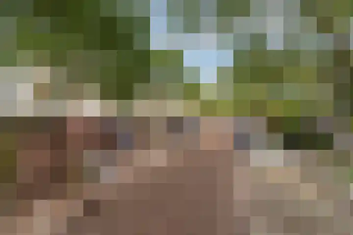 Vijf Meiplein 104 Leiden thumbnail 35