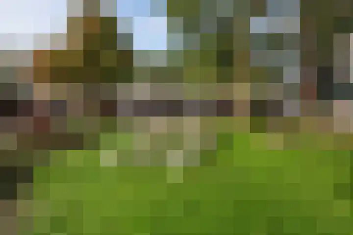 Vijf Meiplein 104 Leiden thumbnail 36