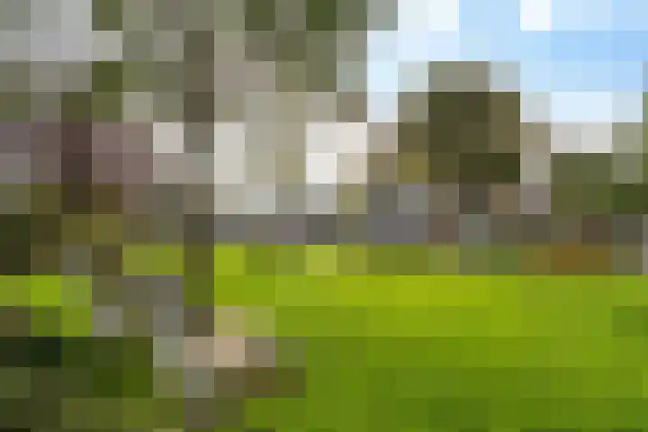 Vijf Meiplein 104 Leiden thumbnail 37