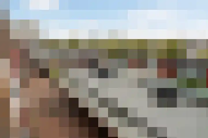Vijf Meiplein 104 Leiden thumbnail 38
