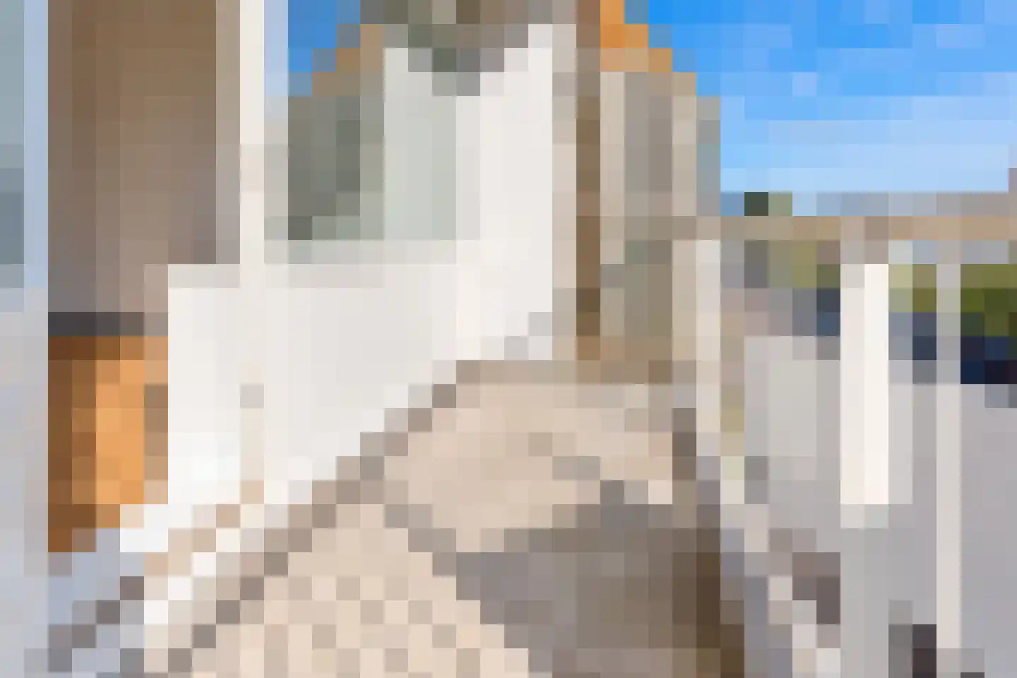 Vijf Meiplein 120 Leiden thumbnail 21