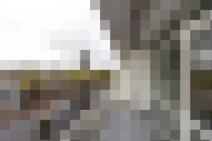 Vijf Meiplein 44 Leiden thumbnail 17