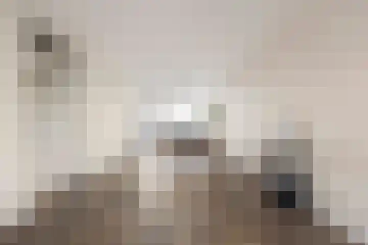 Vijf Meiplein 44 Leiden thumbnail 6