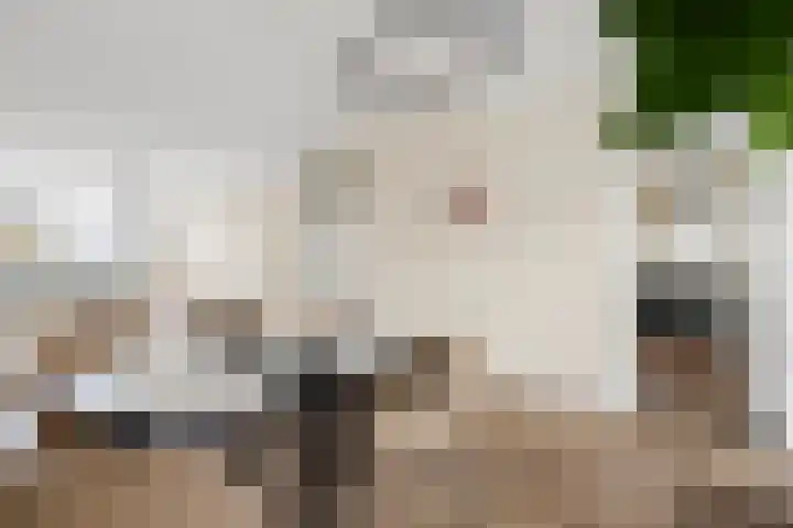 Vijf Meiplein 44 Leiden thumbnail 7