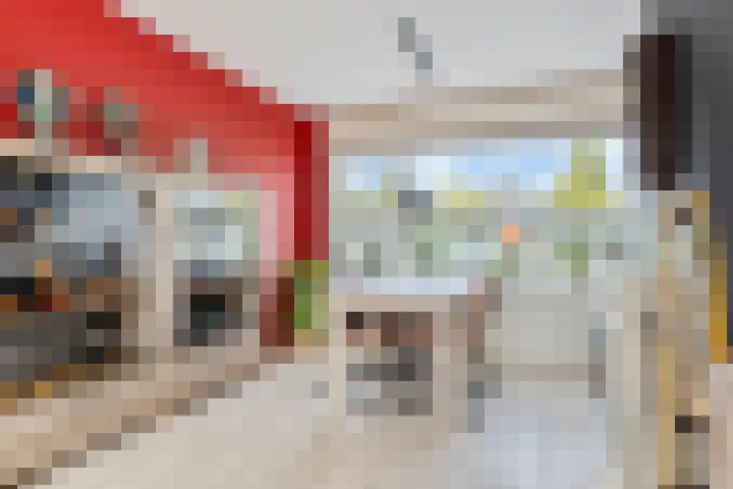 Vijf Meiplein 52 Leiden thumbnail 12