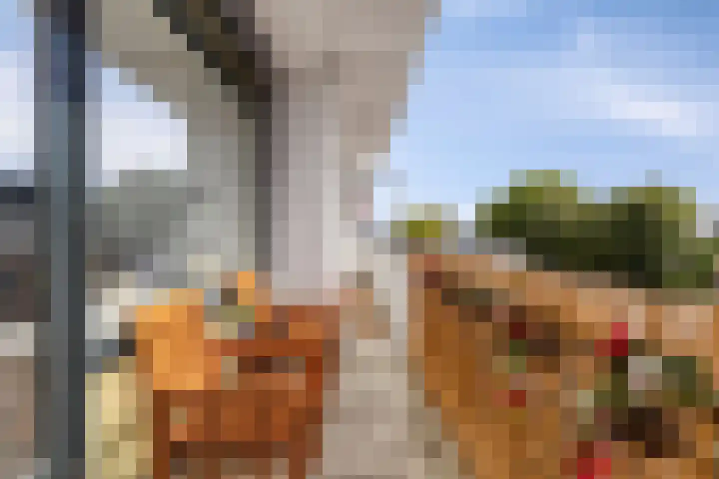 Vijf Meiplein 52 Leiden thumbnail 13