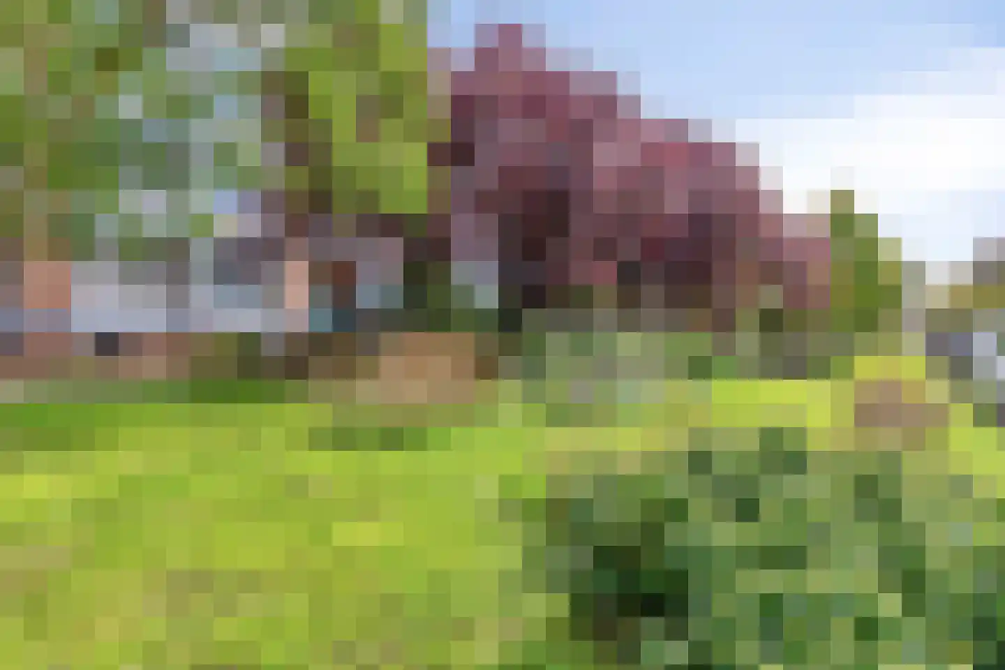Vijf Meiplein 52 Leiden thumbnail 24