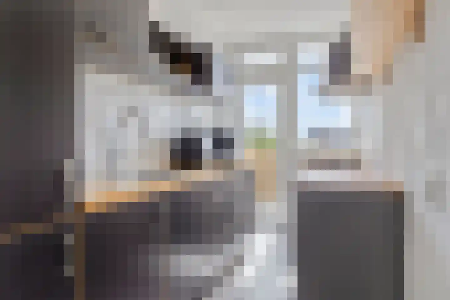 Vijf Meiplein 52 Leiden thumbnail 4