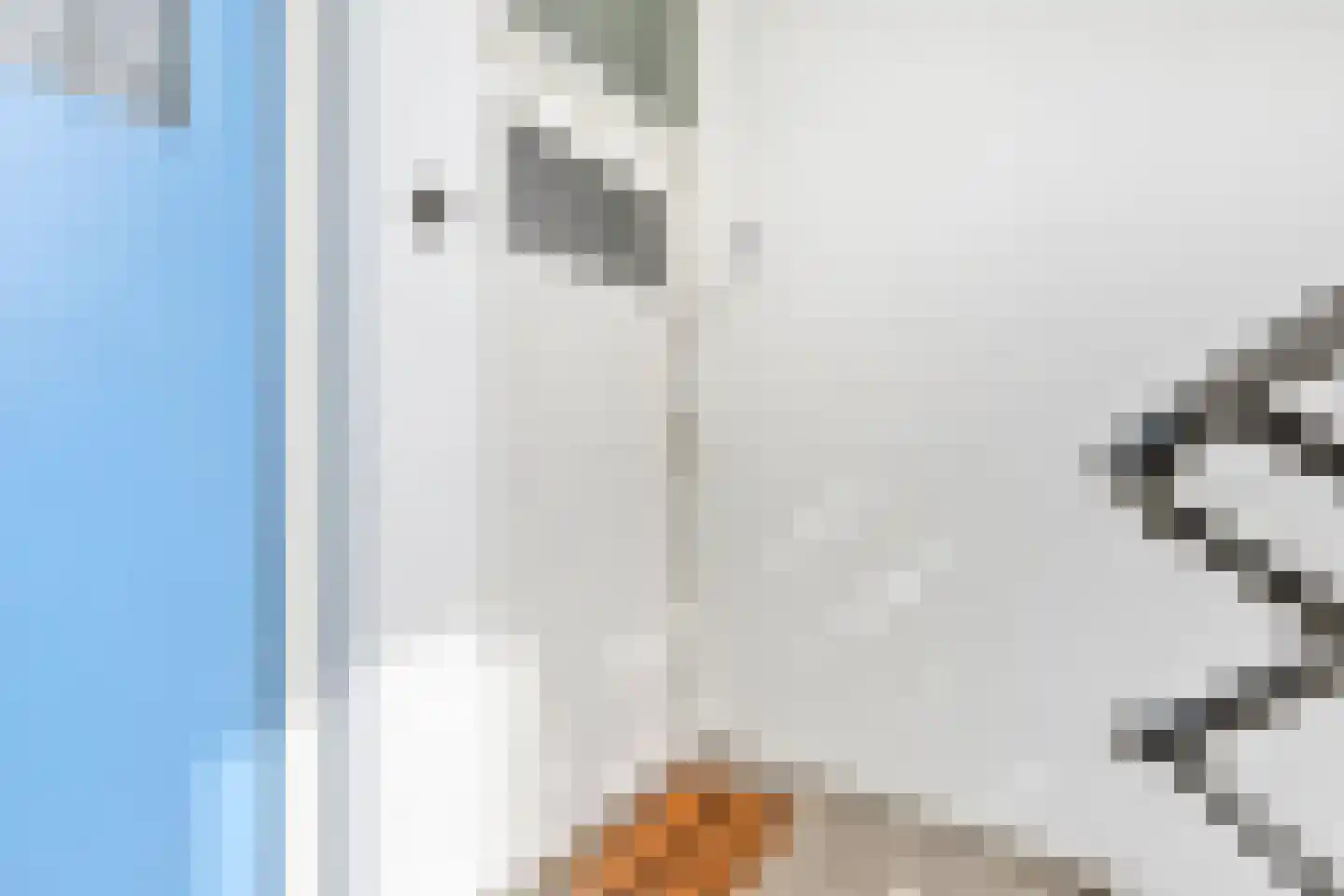 Vijf Meiplein 52 Leiden thumbnail 5