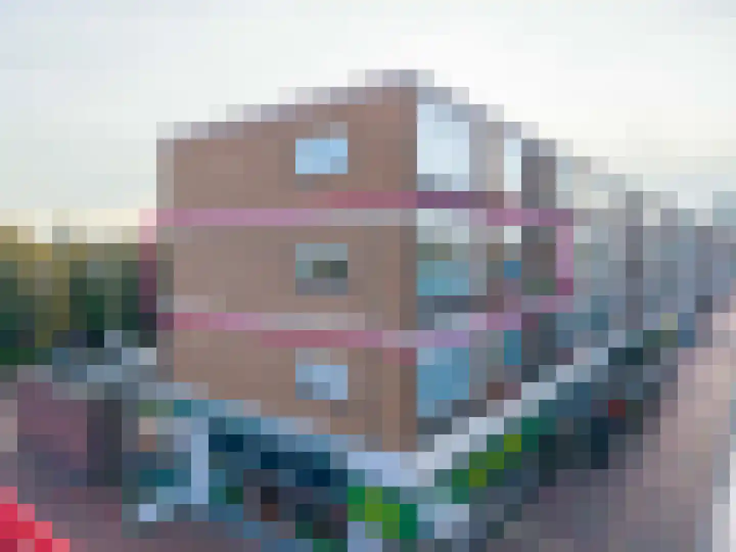 Vijf Meiplein 6 Leiden