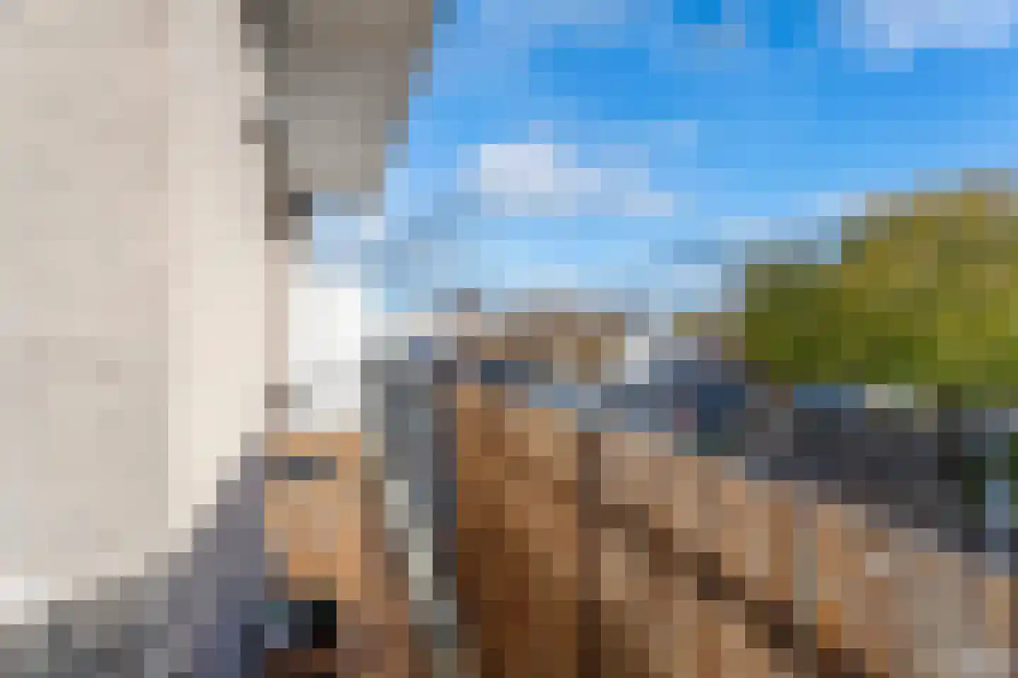 Vijf Meiplein 6 Leiden thumbnail 7