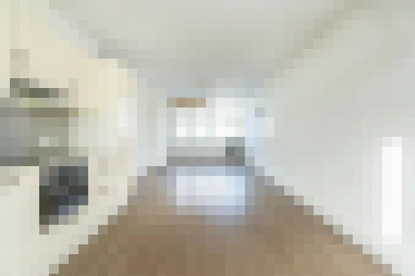Vijf Meiplein 6 Leiden thumbnail 8