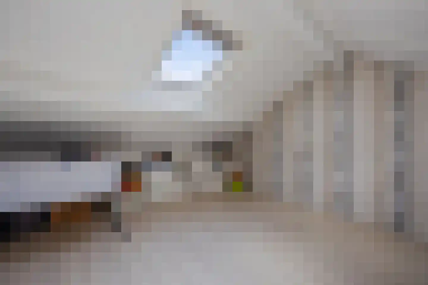 Vijfde Donk 21 's-Hertogenbosch thumbnail 24