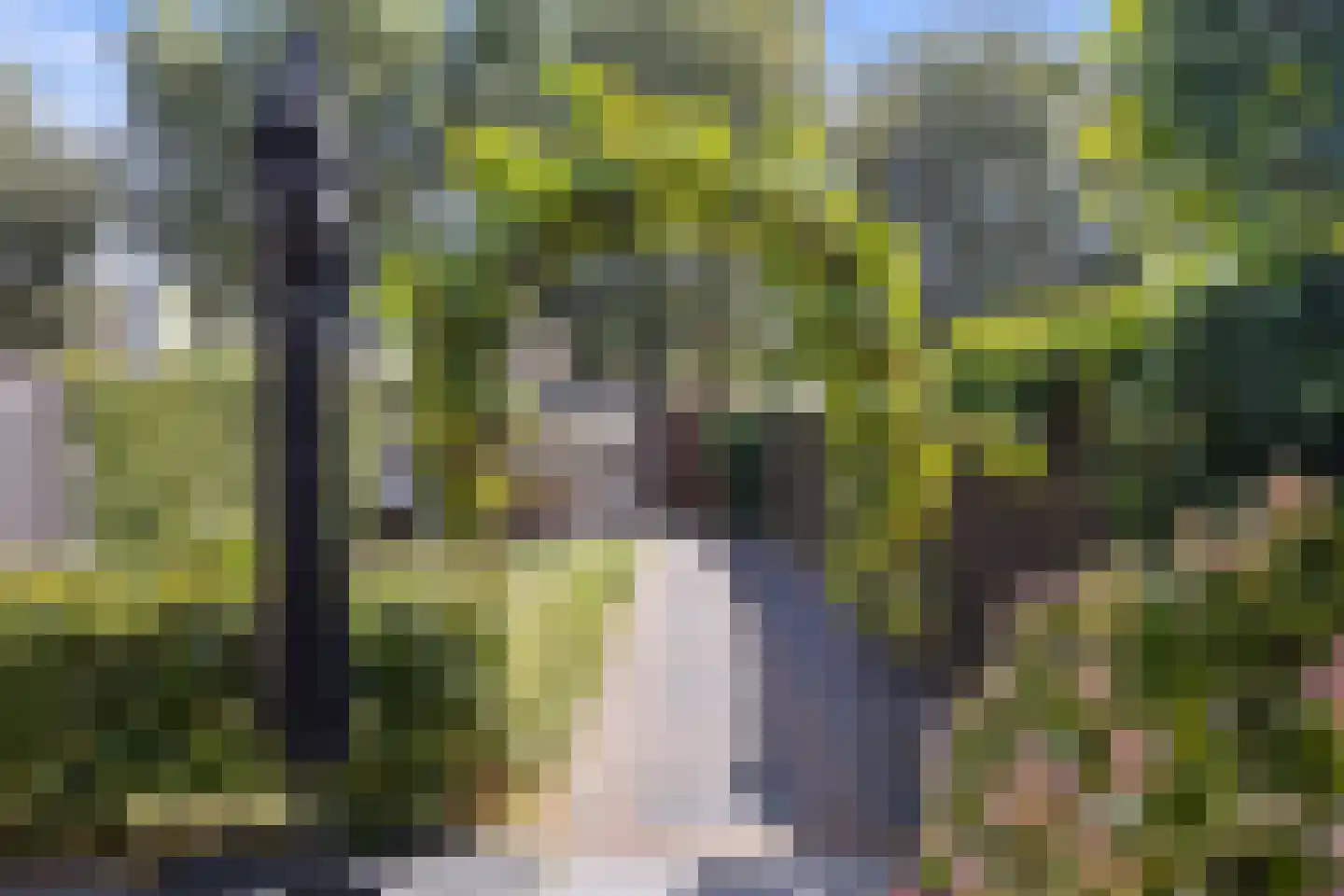 Vijfde Donk 21 's-Hertogenbosch thumbnail 27