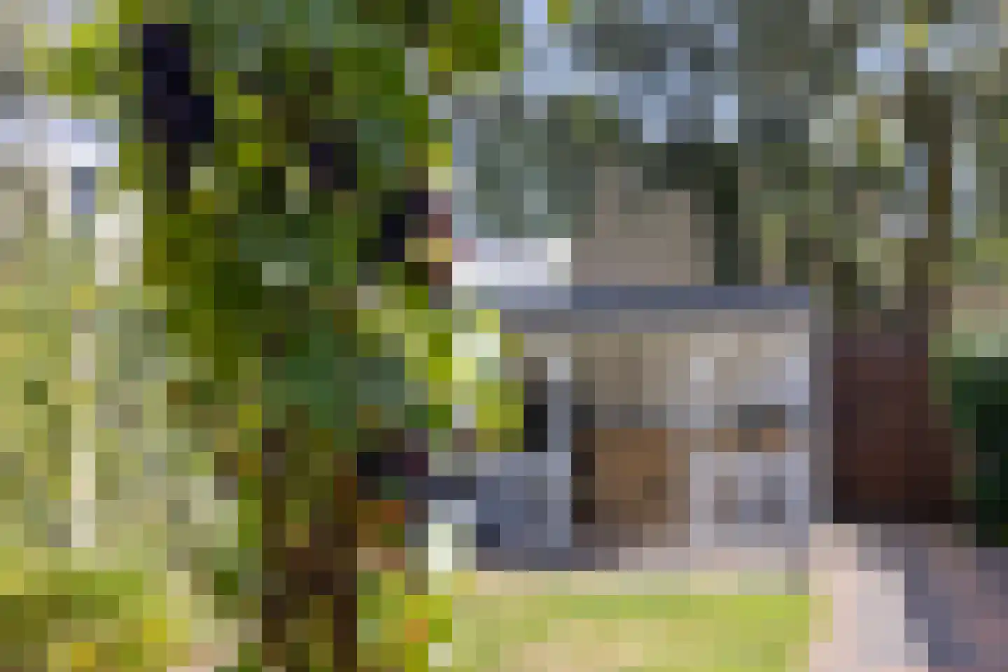 Vijfde Donk 21 's-Hertogenbosch thumbnail 29