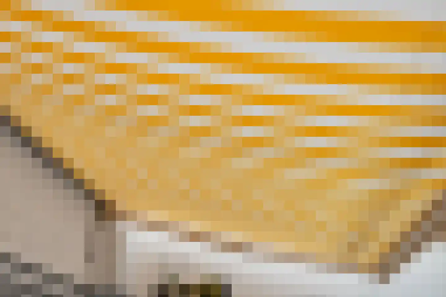 Vijfde Donk 21 's-Hertogenbosch thumbnail 32