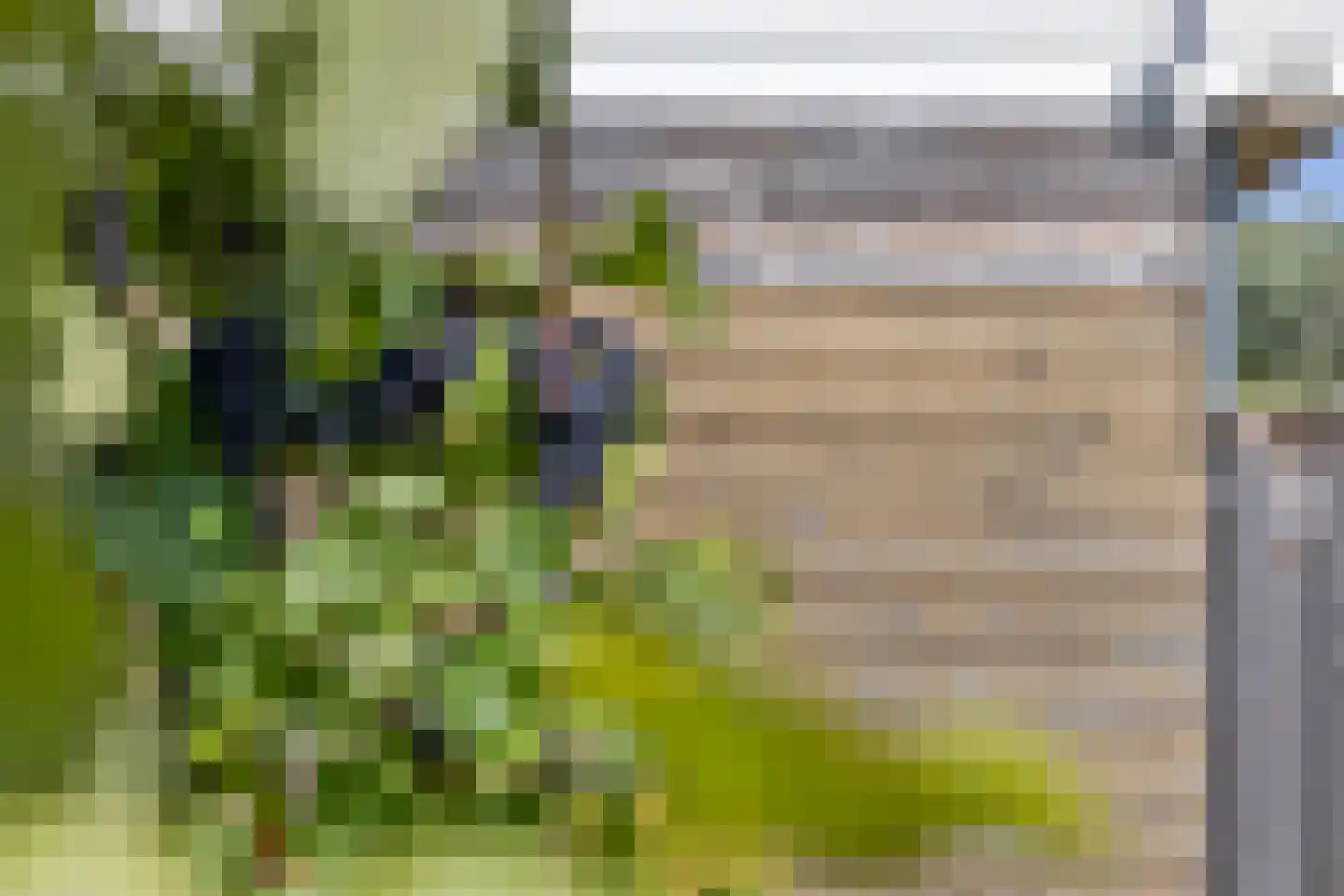 Vijfde Donk 21 's-Hertogenbosch thumbnail 33