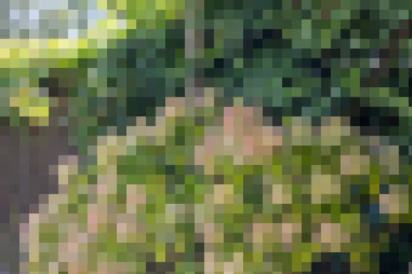 Vijfde Donk 21 's-Hertogenbosch thumbnail 36