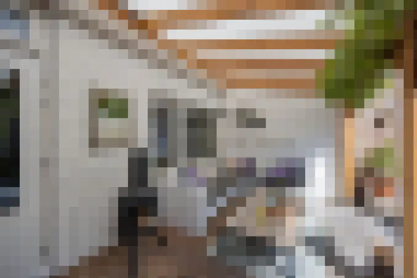 Vijfde Donk 21 's-Hertogenbosch thumbnail 4