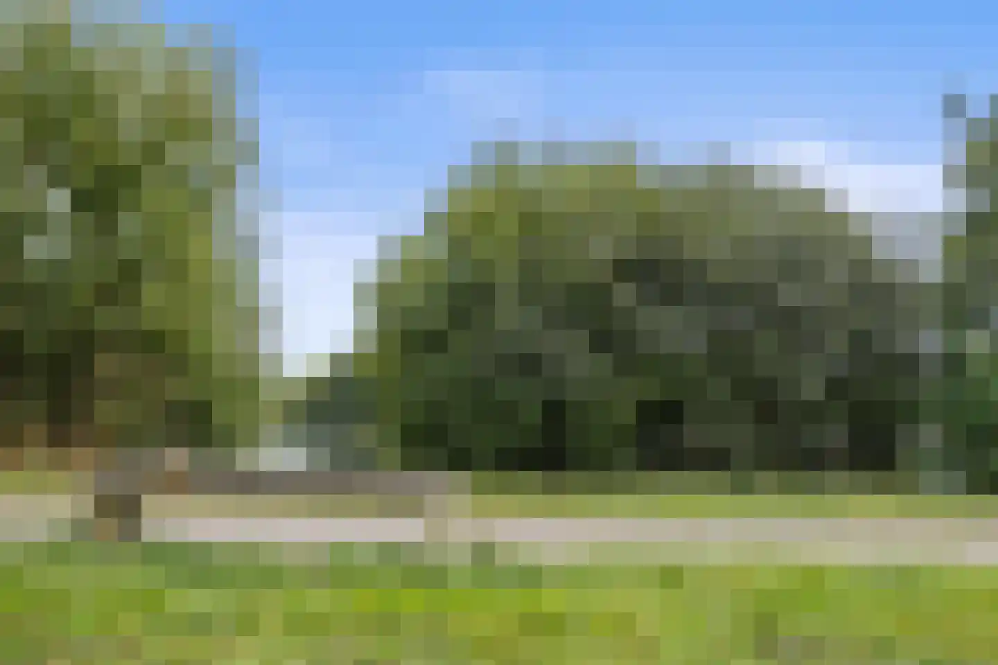 Vijfde Donk 21 's-Hertogenbosch thumbnail 41