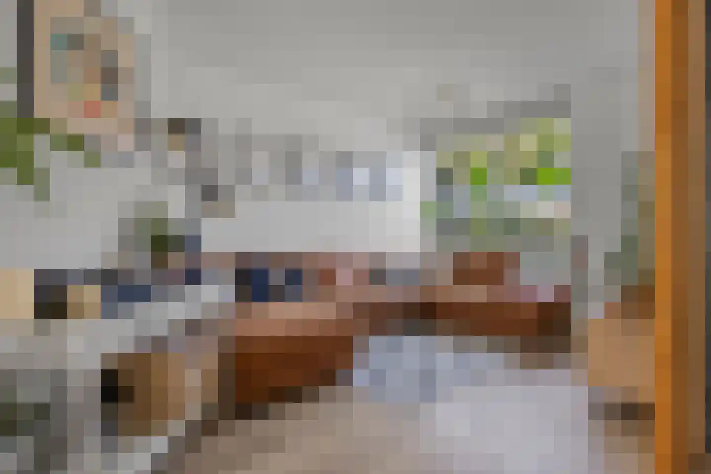 Vijfde Donk 21 's-Hertogenbosch thumbnail 7