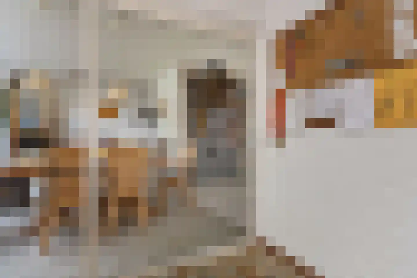 Vijfde Rompert 3 's-Hertogenbosch thumbnail 13