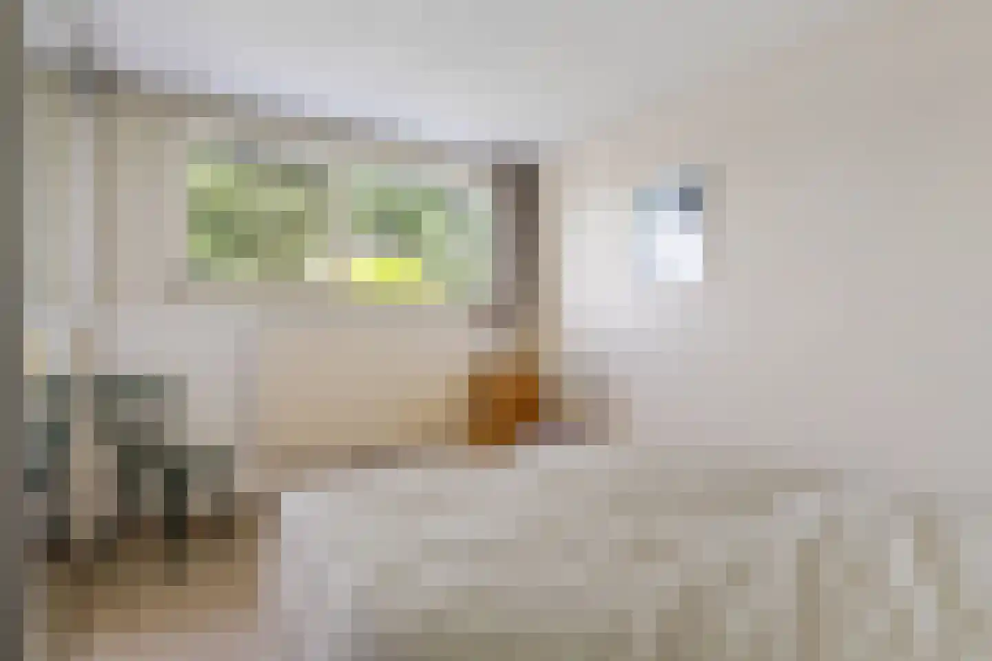 Vijfde Rompert 3 's-Hertogenbosch thumbnail 20