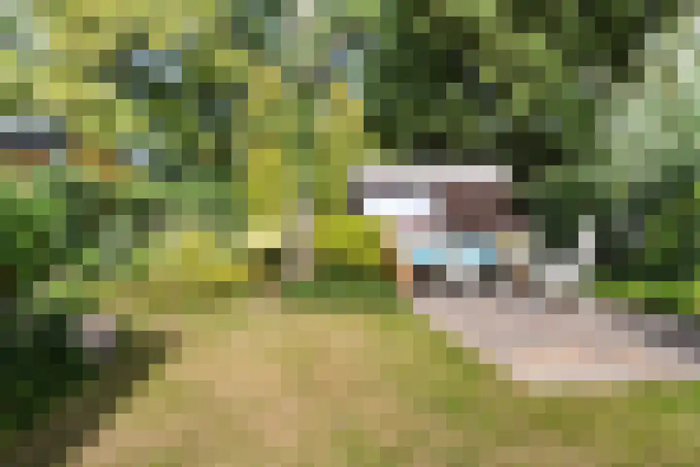 Vijfde Rompert 3 's-Hertogenbosch thumbnail 24