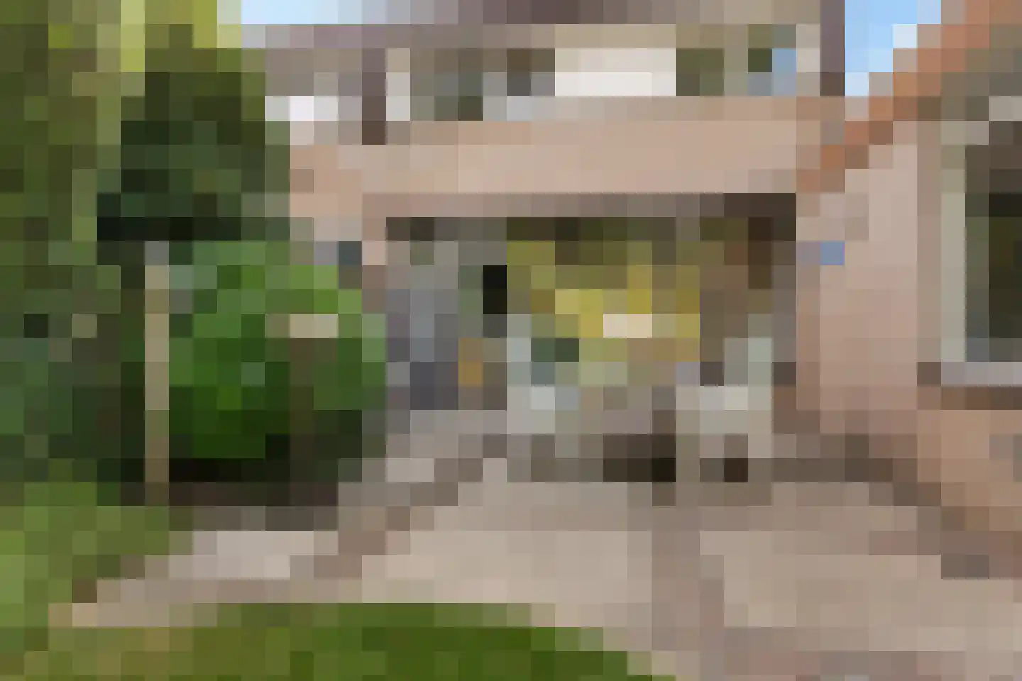 Vijfde Rompert 3 's-Hertogenbosch thumbnail 25